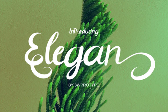 Elegan Font for Professional Branding