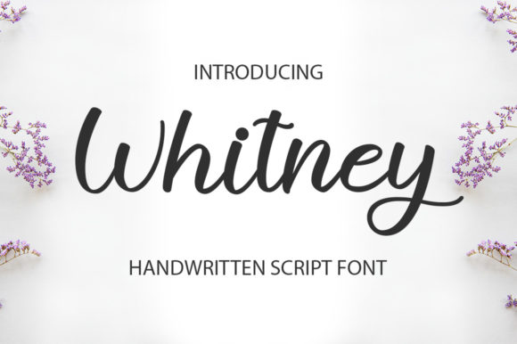 Withney: A Font That Elevates Your Brand’s Visual Story